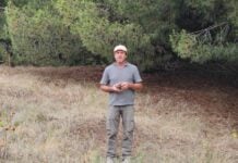 Plantó miles de pinos en Claromecó y hoy exporta uno de los frutos secos más caros del mundo