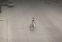 Motociclista murió al impactar una soga que cruzaba una calle en Quilmes Oeste